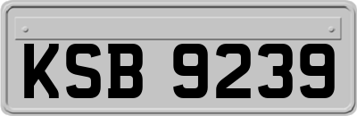 KSB9239