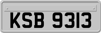 KSB9313