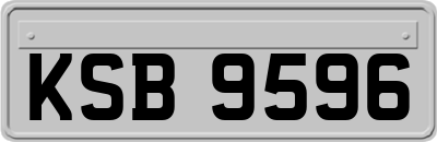 KSB9596