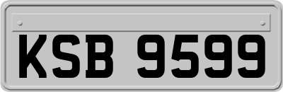 KSB9599