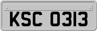 KSC0313