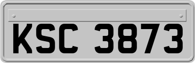 KSC3873