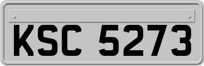 KSC5273