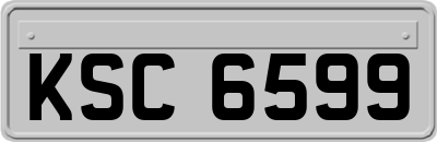 KSC6599