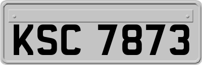 KSC7873