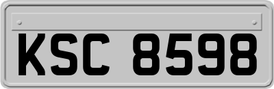 KSC8598