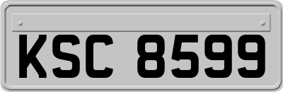 KSC8599