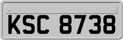 KSC8738
