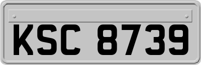 KSC8739