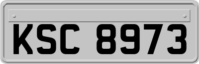 KSC8973