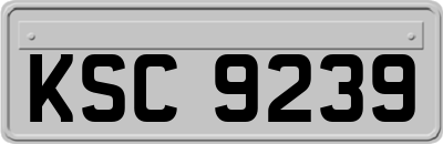 KSC9239