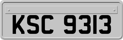 KSC9313