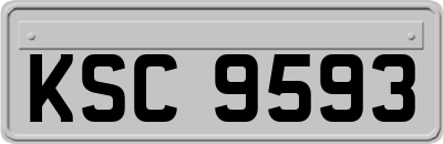 KSC9593
