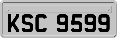 KSC9599