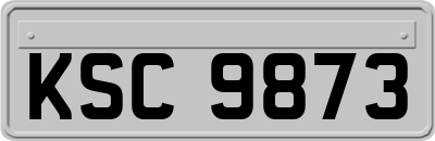 KSC9873