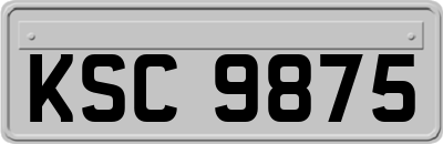 KSC9875