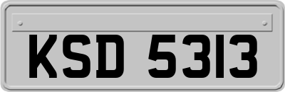 KSD5313
