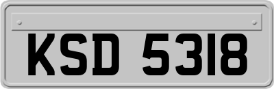 KSD5318