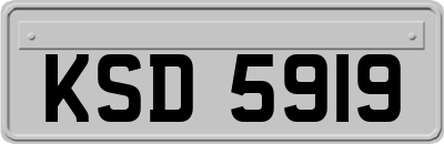 KSD5919