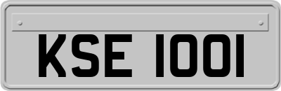 KSE1001