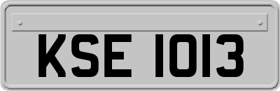KSE1013