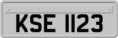 KSE1123