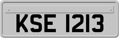 KSE1213