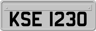 KSE1230
