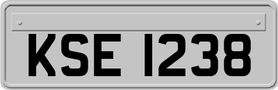 KSE1238
