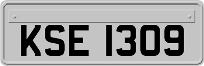 KSE1309