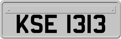 KSE1313