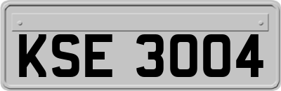 KSE3004