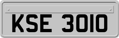 KSE3010