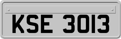 KSE3013