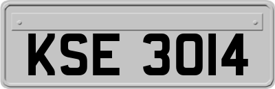 KSE3014