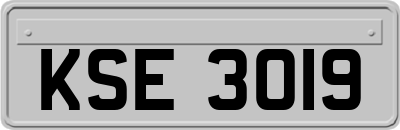 KSE3019