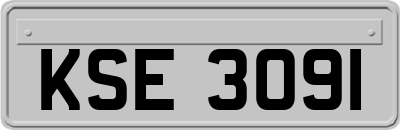 KSE3091
