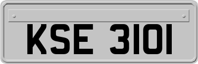 KSE3101