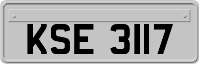 KSE3117