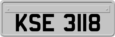 KSE3118