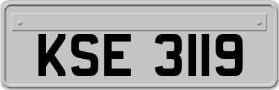 KSE3119