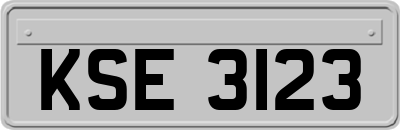 KSE3123