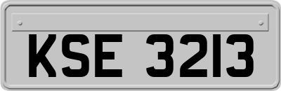 KSE3213