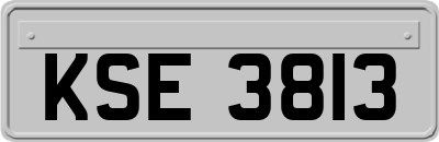 KSE3813