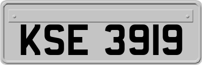 KSE3919