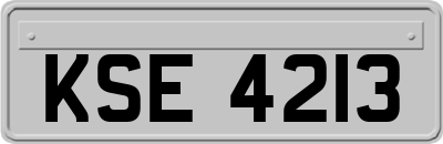 KSE4213