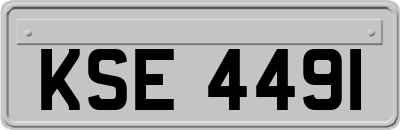 KSE4491