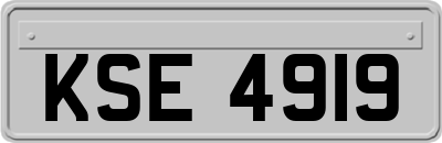 KSE4919