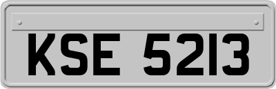 KSE5213