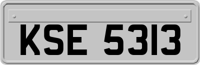 KSE5313